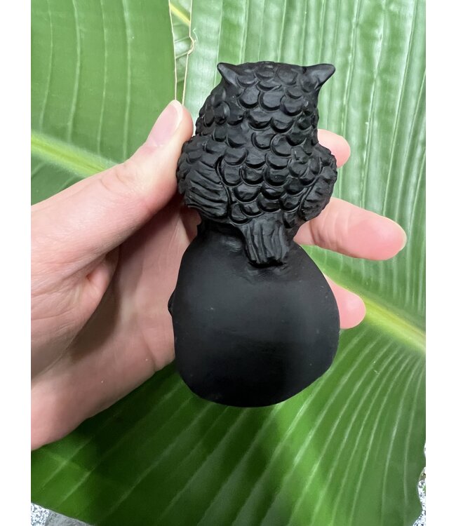 Black Obsidian Skull with Owl