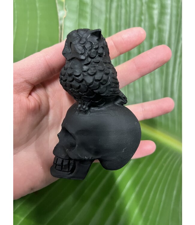 Black Obsidian Skull with Owl