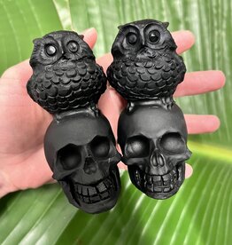 Black Obsidian Skull with Owl