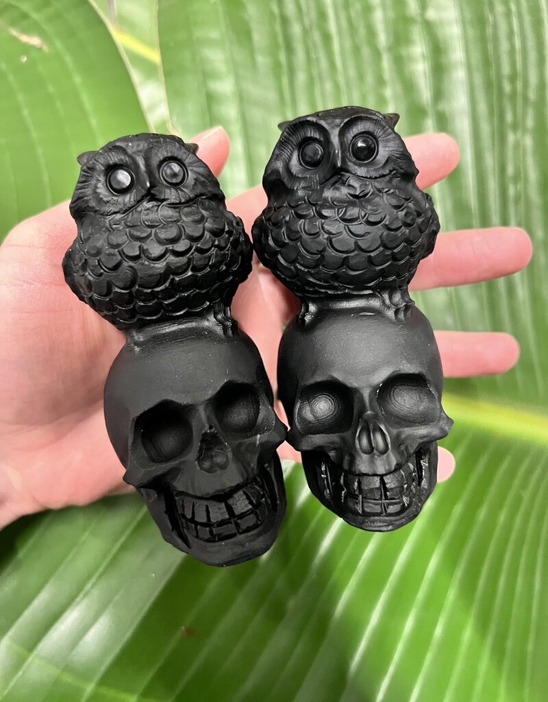 Black Obsidian Skull with Owl