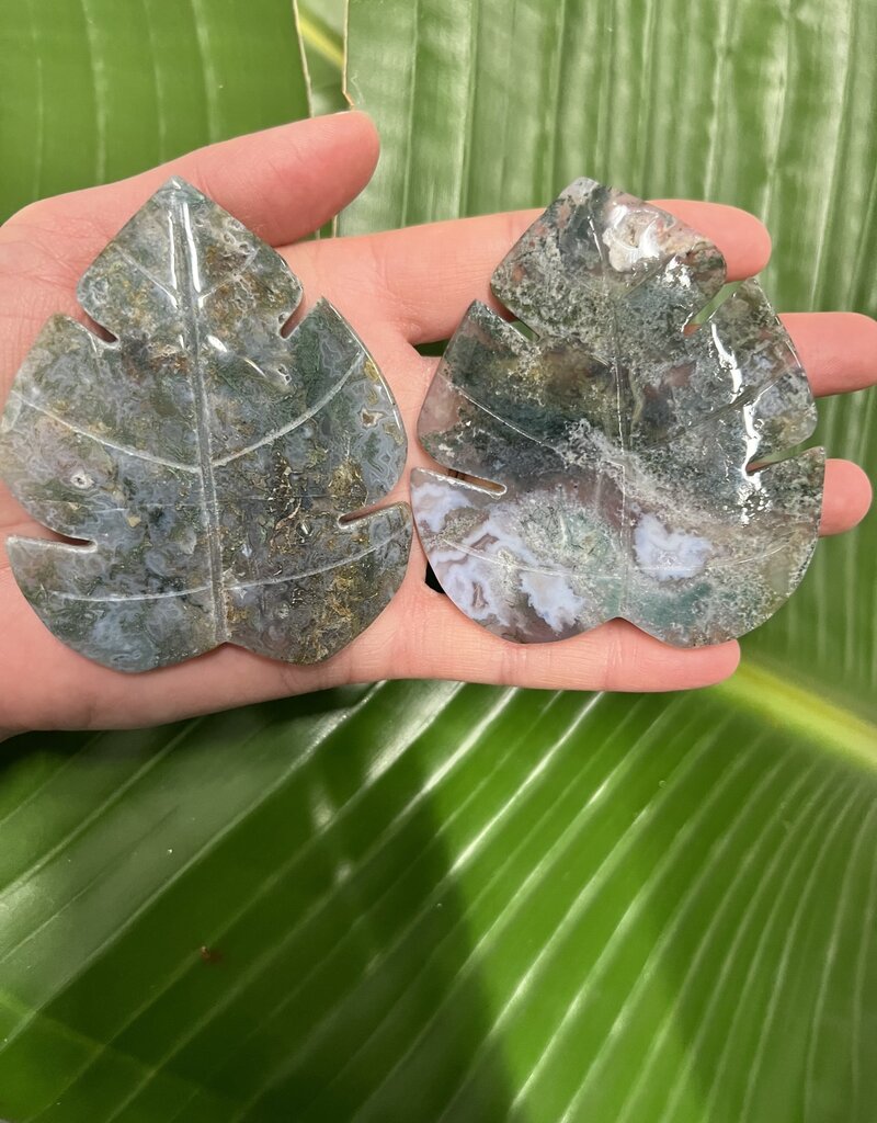 Moss Agate Monestera Leaf Carving