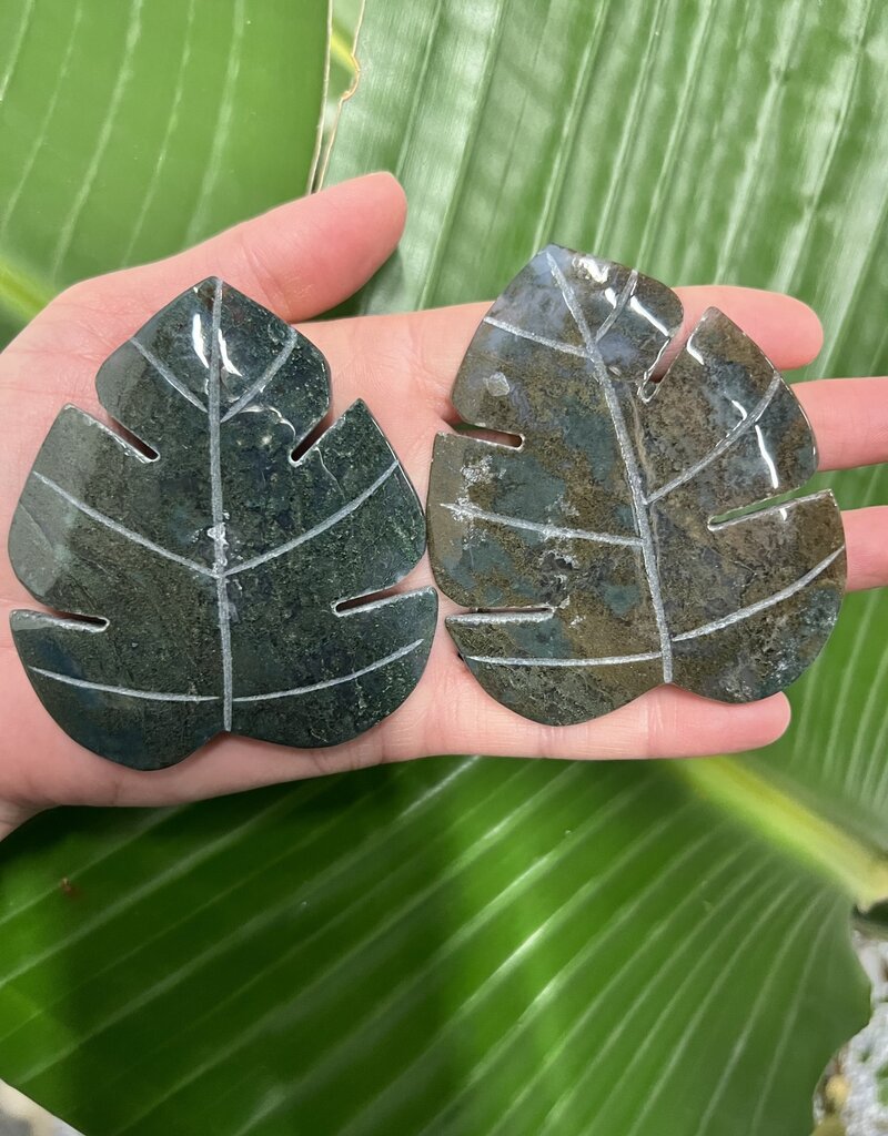 Moss Agate Monestera Leaf Carving