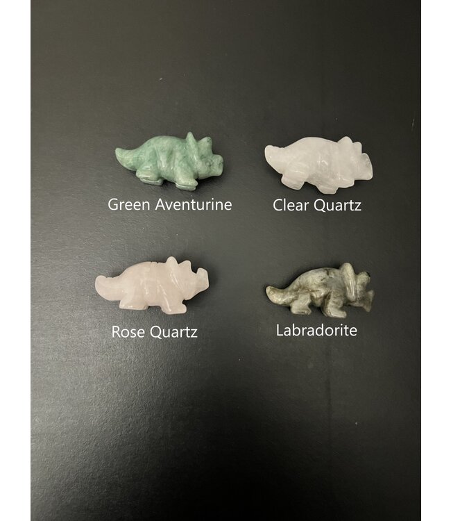 2" Triceratops Carving, 6 Types