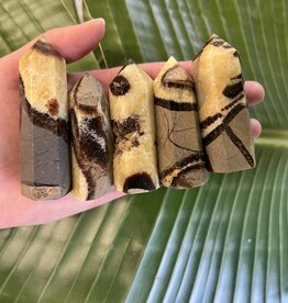 Septarian Point, Size Medium [50-74gr]