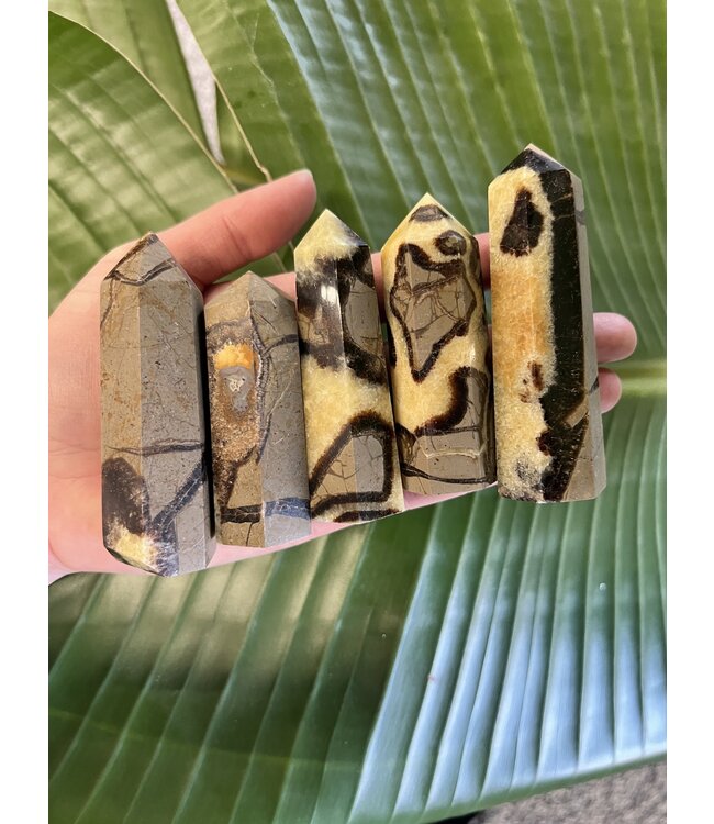 Septarian Point, Size Large [75-99gr]