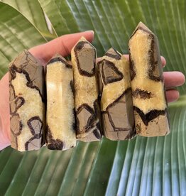 Septarian Point, Size X-Large [100-124gr]