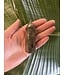 Pyrite Point, Size XX-Large [125-149gr]