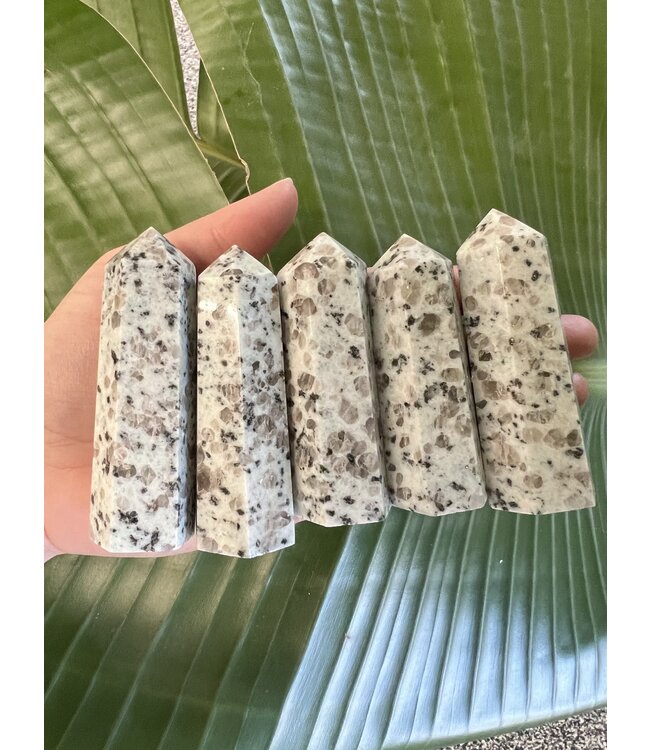 Kiwi Jasper Point, Size Large [75-99gr]