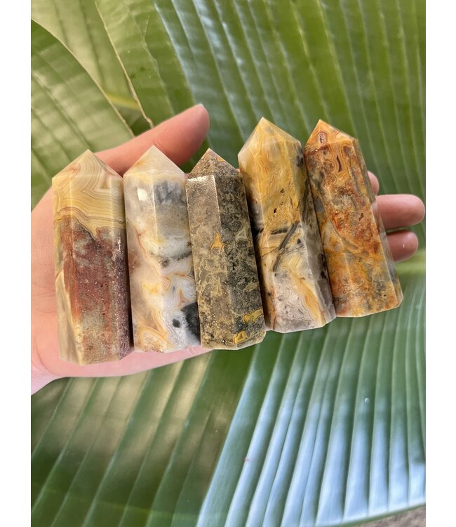 Crazy Lace Agate Point, Size Large [75-99gr]