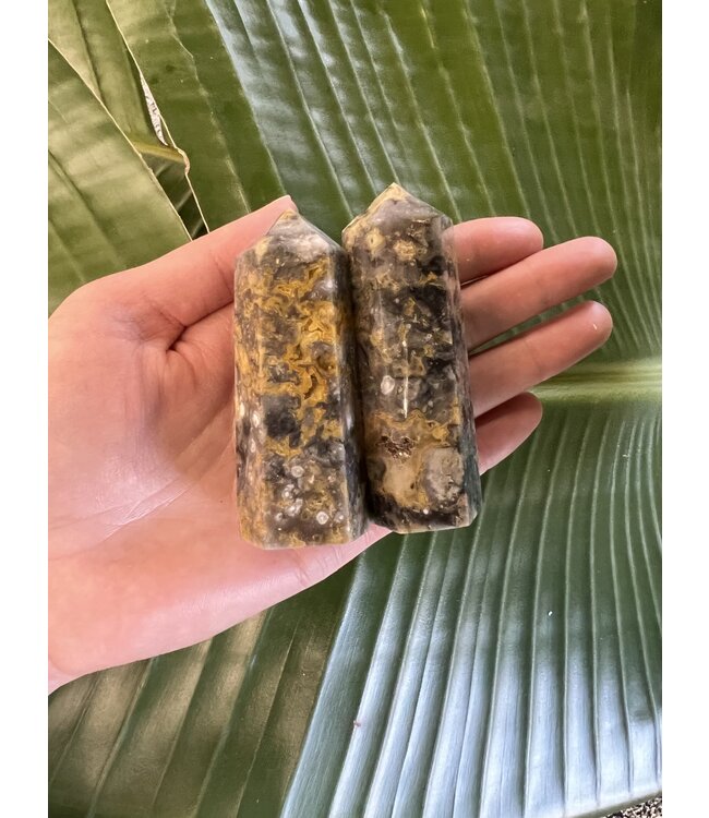 Crazy Lace Agate Point, Size X-Large [100-124gr]