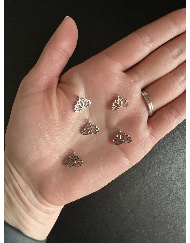 Charms lotus store