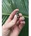 Pyrite Turtle Charms 27mm x 21mm 1 Pack