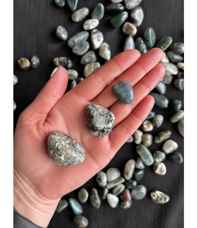 Moss Agate Tumbled Stones, Polished Moss Agate, Grade A; 3 sizes available, purchase individual or bulk