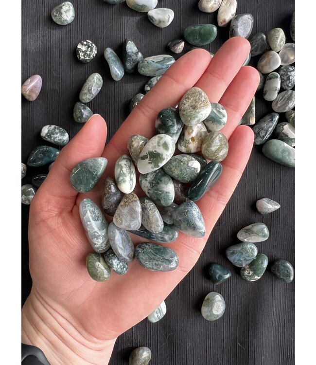 Moss Agate Tumbled Stones, Polished Moss Agate, Grade A; 3 sizes available, purchase individual or bulk