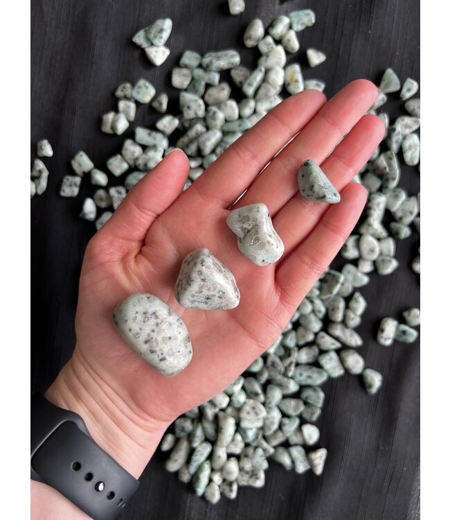Kiwi Jasper Tumbled Stones, Polished Kiwi Jasper, Grade A; 4 sizes available, purchase individual or bulk