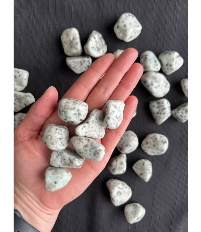 Kiwi Jasper Tumbled Stones, Polished Kiwi Jasper, Grade A; 4 sizes available, purchase individual or bulk