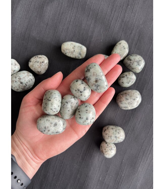 Kiwi Jasper Tumbled Stones, Polished Kiwi Jasper, Grade A; 4 sizes available, purchase individual or bulk