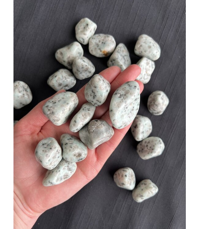 Kiwi Jasper Tumbled Stones, Polished Kiwi Jasper, Grade A; 4 sizes available, purchase individual or bulk