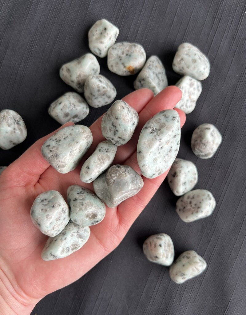 Kiwi Jasper Tumbled Stones, Polished Kiwi Jasper, Grade A; 4 sizes available, purchase individual or bulk