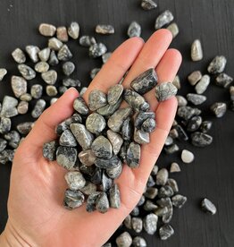 Que Sera Tumbled Stones, Polished Que Sera, Grade A; 1 sizes available, purchase individual or bulk