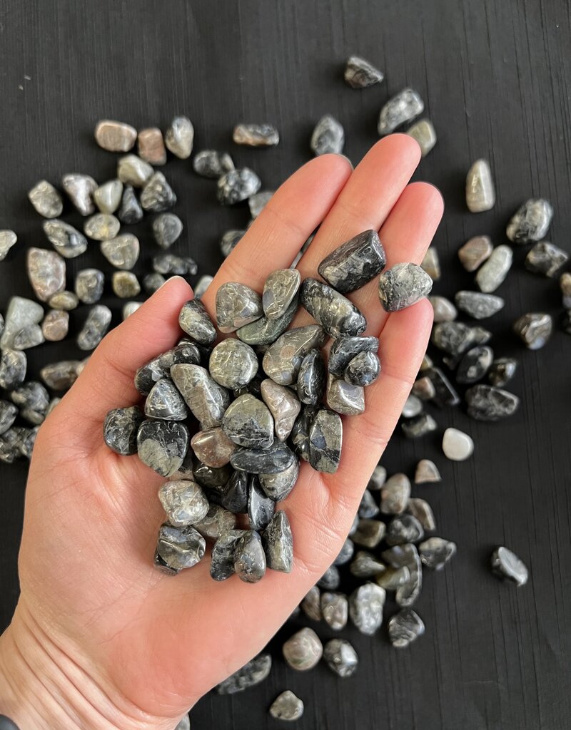 Que Sera Tumbled Stones, Polished Que Sera, Grade A; 1 sizes available, purchase individual or bulk