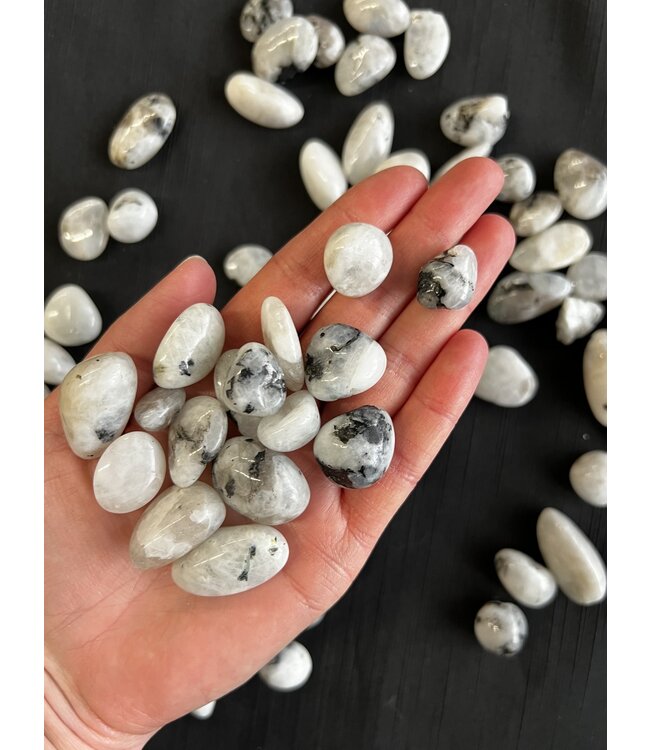 Rainbow Moonstone Tumbled Stones, Polished Rainbow Moonstone, Grade A; 3 sizes available, purchase individual or bulk