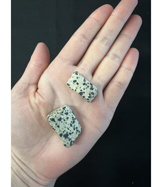 Dalmatian Jasper Tumbled Stones, Polished Dalmatian Jasper, Grade A; 2 sizes available, purchase individual or bulk *disc.*