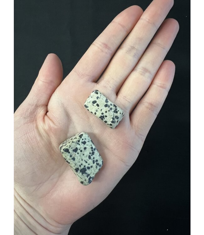 Dalmatian Jasper Tumbled Stones, Polished Dalmatian Jasper, Grade A; 2 sizes available, purchase individual or bulk *disc.*