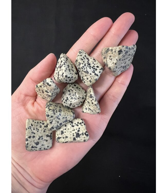 Dalmatian Jasper Tumbled Stones, Polished Dalmatian Jasper, Grade A; 2 sizes available, purchase individual or bulk *disc.*