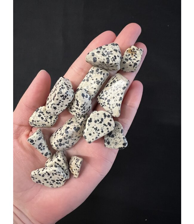 Dalmatian Jasper Tumbled Stones, Polished Dalmatian Jasper, Grade A; 2 sizes available, purchase individual or bulk *disc.*