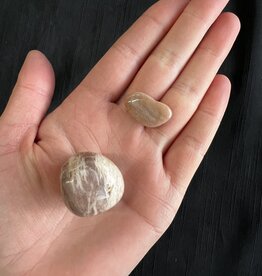 Peach Moonstone Tumbled Stones, Polished Peach Moonstone, Grade A; 2 sizes available, purchase individual or bulk