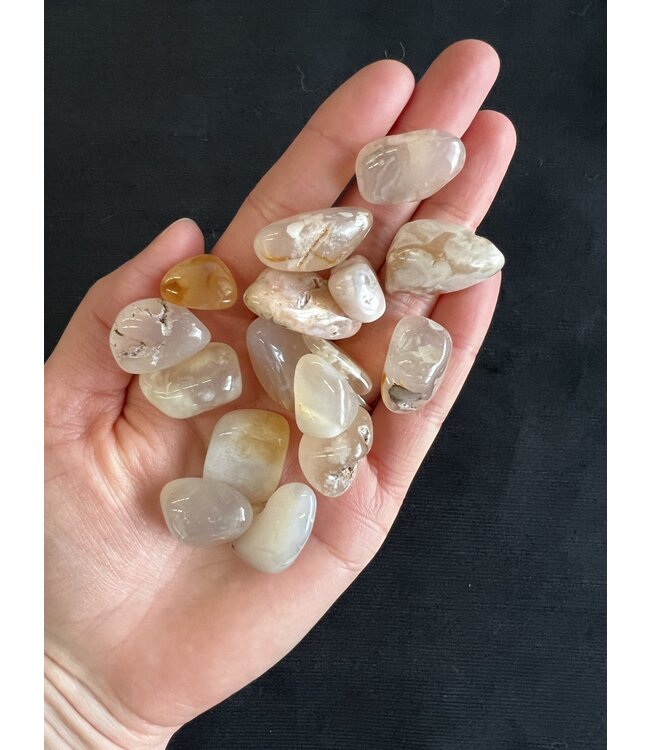 Flower Agate Tumbled Stones, Polished Flower Agate, Grade A; 4 sizes available, purchase individual or bulk
