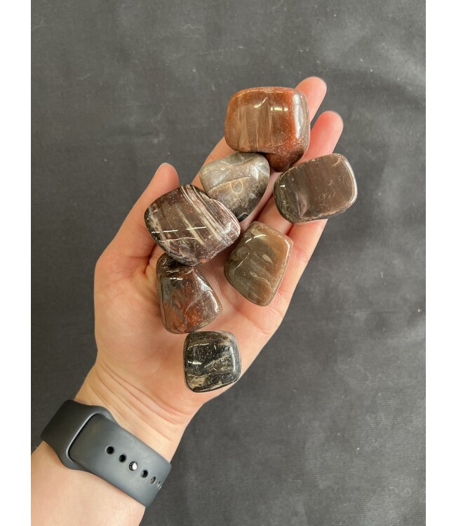 Petrified Wood Tumbled Stones, Polished Petrified Wood, Grade A; 4 sizes available, purchase individual or bulk