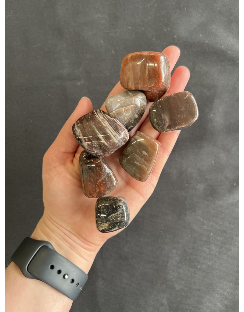 Petrified Wood Tumbled Stones, Polished Petrified Wood, Grade A; 4