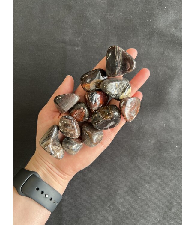 Petrified Wood Tumbled Stones, Polished Petrified Wood, Grade A; 4 sizes available, purchase individual or bulk