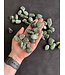 Ruby Zoisite Tumbled Stones, Polished Ruby Zoisite, Grade A; 3 sizes available, purchase individual or bulk