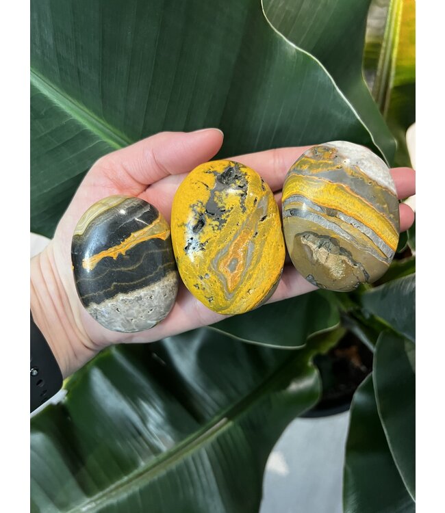 Bumblebee Jasper Palm Stone, Size Medium [100-124gr]