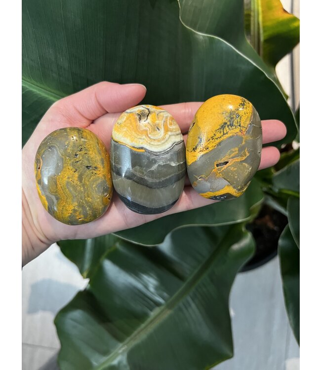 Bumblebee Jasper Palm Stone, Size Medium [100-124gr]