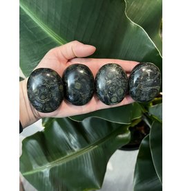 Kambaba Jasper Palm Stone, Size Small [75-99gr]