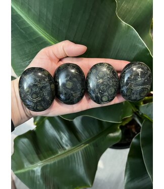 Kambaba Jasper Palm Stone, Size Small [75-99gr] *disc.*