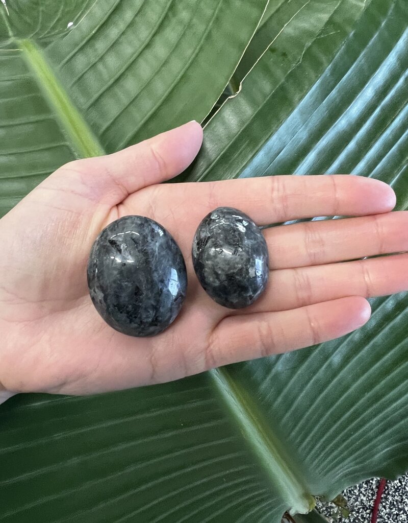 Larvikite Palm Stone, Size XX-Small [25-49gr]