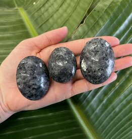 Larvikite Palm Stone, Size X-Small [50-74gr]
