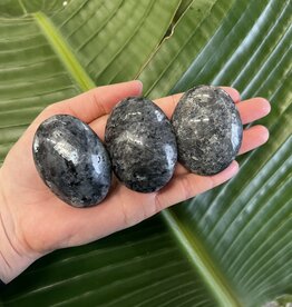 Larvikite Palm Stone, Size Small [75-99gr]