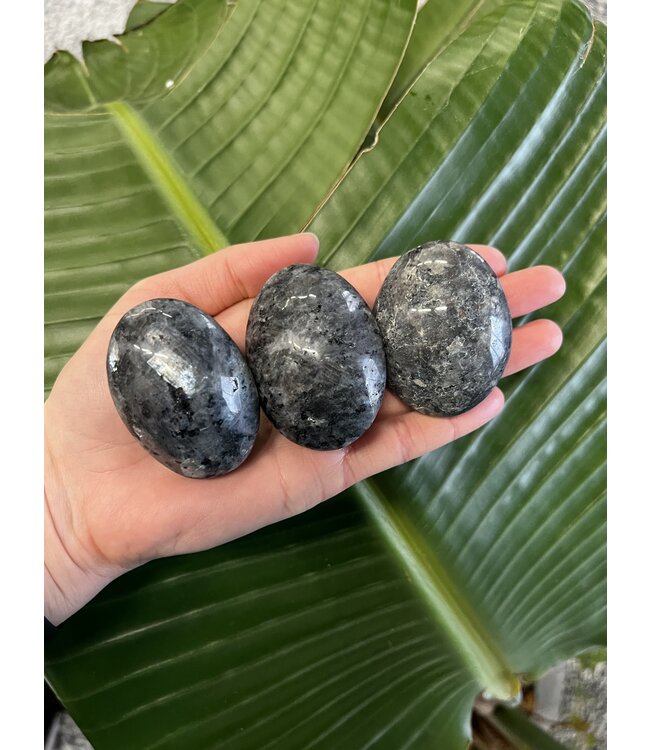 Larvikite Palm Stone, Size Small [75-99gr]