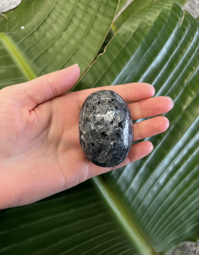 Larvikite Palm Stone, Size Large [125-149gr]