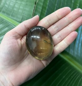 Natural Citrine Palm Stone, Size Small [75-99gr]