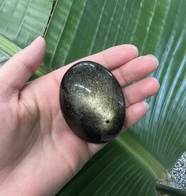 Gold Sheen Obsidian Palm Stone, Size Medium [100-124gr]