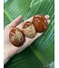 Red Jasper Palm Stone, Size Small [75-99gr]