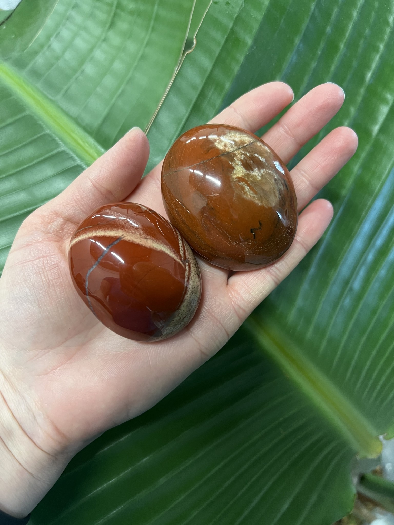 Red Jasper Palm Stone, Size Medium [100-124gr] The Raw Rock