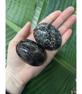 Garnet Palm Stone, Size Medium [100-124gr]